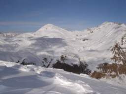 081124_A_siamo in 65.JPG